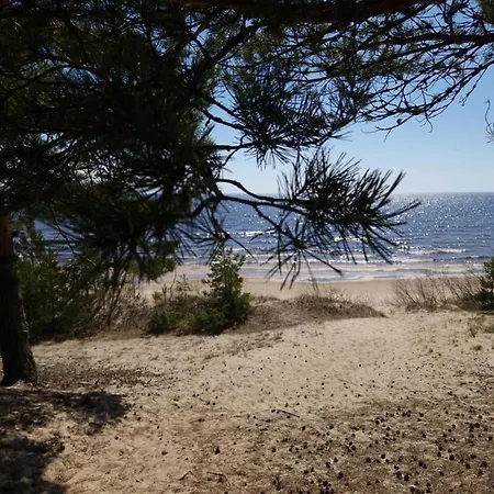 домик с сауной для отдыха Katase