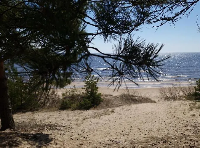 домик с сауной для отдыха Katase